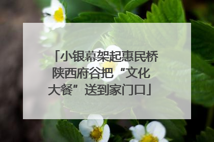 小银幕架起惠民桥 陕西府谷把“文化大餐”送到家门口