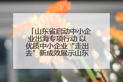 山东省启动中小企业出海专项行动 以优质中小企业“走出去”新成效展示山东产业发展新形象