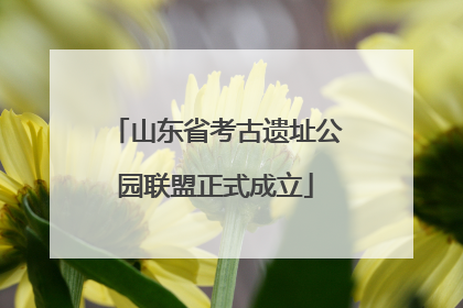 山东省考古遗址公园联盟正式成立