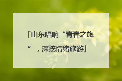 山东唱响“青春之旅”，深挖情绪旅游