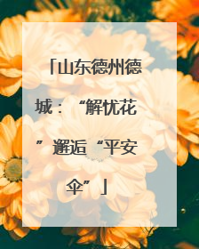 山东德州德城：“解忧花”邂逅“平安伞”