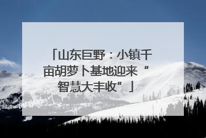 山东巨野：小镇千亩胡萝卜基地迎来“智慧大丰收”