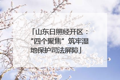 山东日照经开区：“四个聚焦”筑牢湿地保护司法屏障