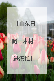 山东日照：木材进港忙