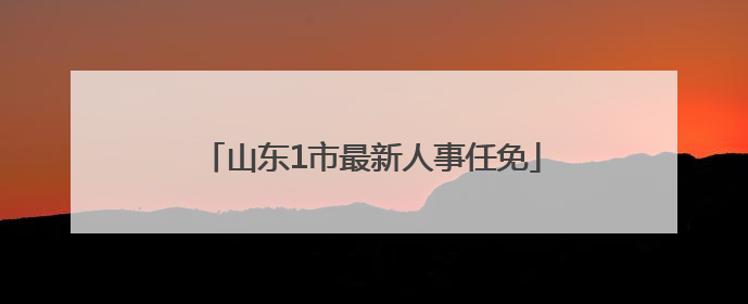山东1市最新人事任免