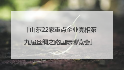 山东22家重点企业亮相第九届丝绸之路国际博览会