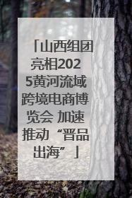 山西组团亮相2025黄河流域跨境电商博览会 加速推动“晋品出海”