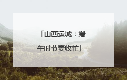 山西运城：端午时节麦收忙