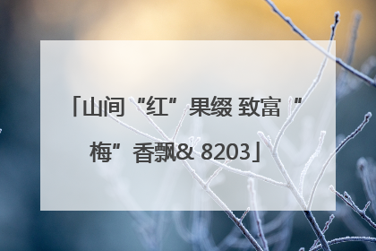 山间“红”果缀 致富“梅”香飘& 8203