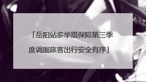 岳阳站多举措保障第三季度调图旅客出行安全有序