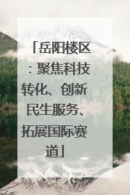 岳阳楼区：聚焦科技转化、创新民生服务、拓展国际赛道