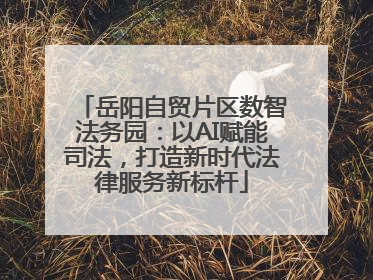 岳阳自贸片区数智法务园：以AI赋能司法，打造新时代法律服务新标杆