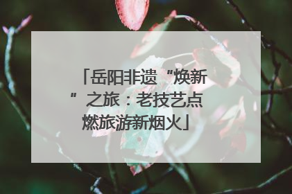 岳阳非遗“焕新”之旅：老技艺点燃旅游新烟火