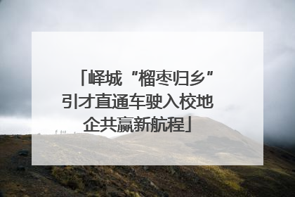 峄城“榴枣归乡”引才直通车驶入校地企共赢新航程