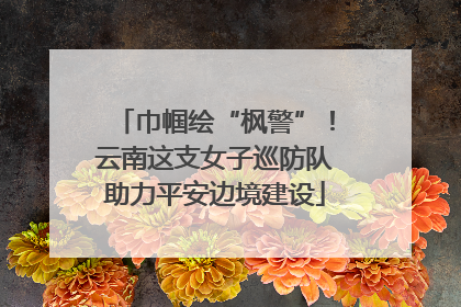 巾帼绘“枫警”！云南这支女子巡防队助力平安边境建设