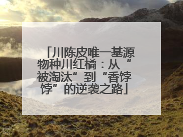 川陈皮唯一基源物种川红橘：从“被淘汰”到“香饽饽”的逆袭之路
