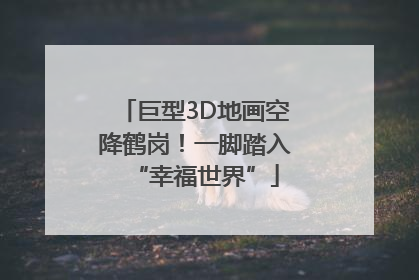 巨型3D地画空降鹤岗！一脚踏入“幸福世界”