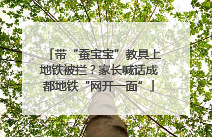 带“蚕宝宝”教具上地铁被拦？家长喊话成都地铁“网开一面”