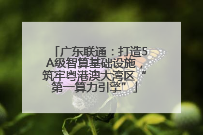 广东联通：打造5A级智算基础设施，筑牢粤港澳大湾区“第一算力引擎”