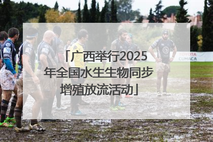 广西举行2025年全国水生生物同步增殖放流活动