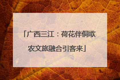 广西三江：荷花伴侗歌 农文旅融合引客来