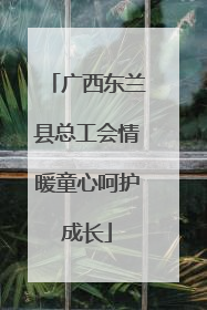 广西东兰县总工会情暖童心呵护成长