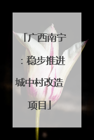 广西南宁：稳步推进城中村改造项目