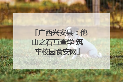 广西兴安县：他山之石互查学 筑牢校园食安网