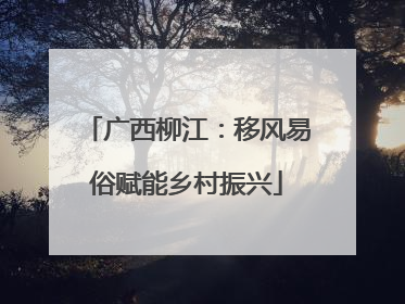 广西柳江：移风易俗赋能乡村振兴
