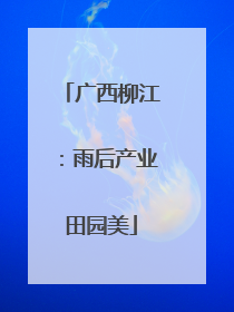 广西柳江：雨后产业田园美