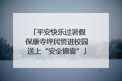 平安快乐过暑假 保康寺坪民警进校园送上“安全锦囊”