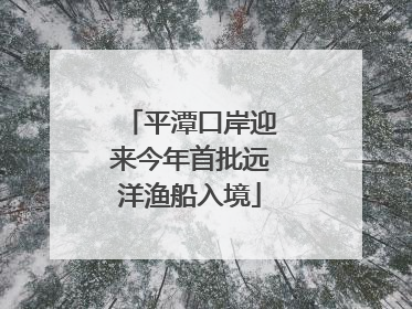 平潭口岸迎来今年首批远洋渔船入境