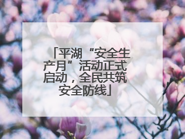 平湖“安全生产月”活动正式启动，全民共筑安全防线