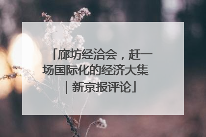 廊坊经洽会，赶一场国际化的经济大集｜新京报评论