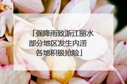 强降雨致浙江丽水部分地区发生内涝 各地积极抢险