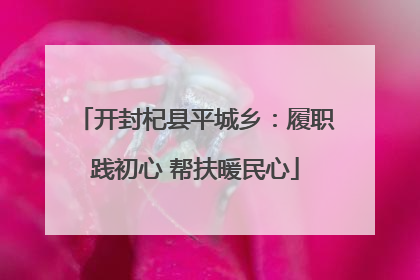 开封杞县平城乡：履职践初心 帮扶暖民心