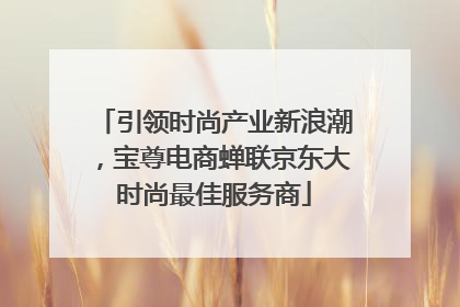 引领时尚产业新浪潮，宝尊电商蝉联京东大时尚最佳服务商