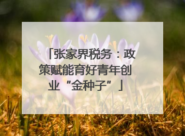 张家界税务：政策赋能育好青年创业“金种子”
