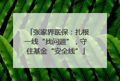 张家界医保：扎根一线“找问题”，守住基金“安全线”
