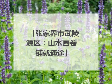 张家界市武陵源区：山水画卷铺就通途