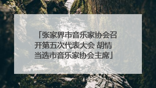 张家界市音乐家协会召开第五次代表大会 胡情当选市音乐家协会主席