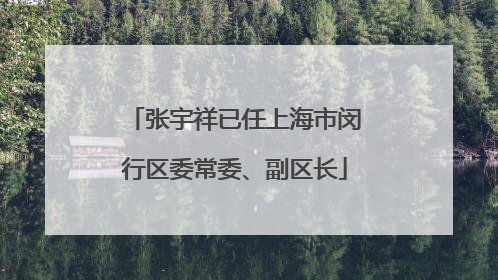 张宇祥已任上海市闵行区委常委、副区长