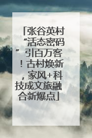 张谷英村“活态密码”引百万客！古村焕新，家风+科技成文旅融合新爆点