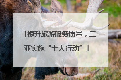 提升旅游服务质量，三亚实施“十大行动”