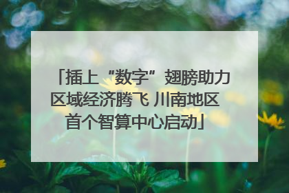 插上“数字”翅膀助力区域经济腾飞 川南地区首个智算中心启动