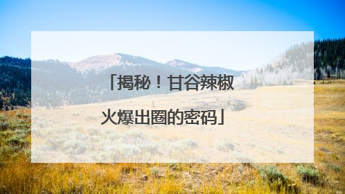 揭秘！甘谷辣椒火爆出圈的密码