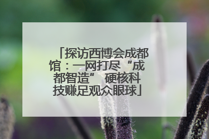 探访西博会成都馆：一网打尽“成都智造” 硬核科技赚足观众眼球