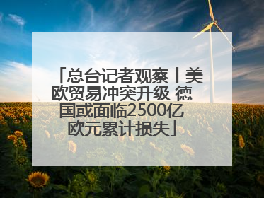 总台记者观察丨美欧贸易冲突升级 德国或面临2500亿欧元累计损失