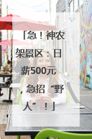 急！神农架景区：日薪500元，急招“野人”！