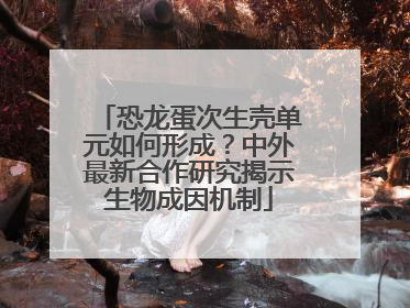 恐龙蛋次生壳单元如何形成？中外最新合作研究揭示生物成因机制